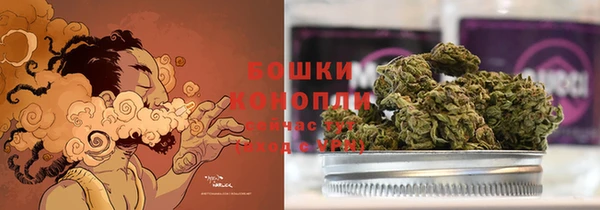 сатива Абаза