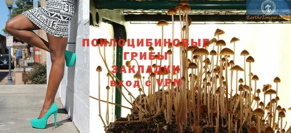 ГАЛЛЮЦИНОГЕННЫЕ ГРИБЫ Абинск