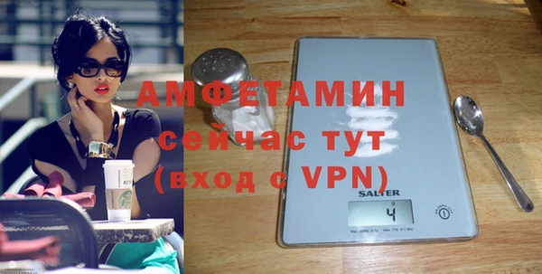 сатива Абаза