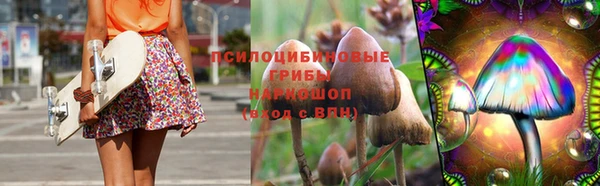 сатива Абаза