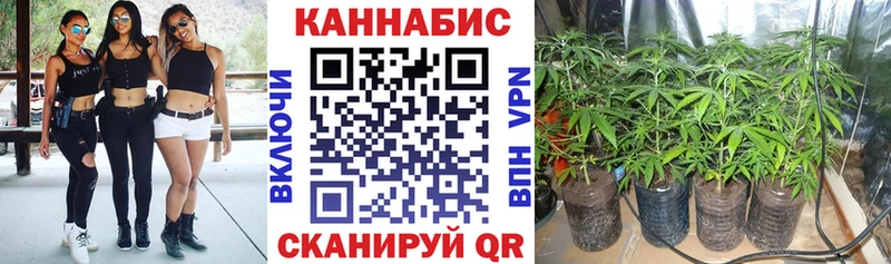 Марихуана планчик блэк спрут ссылки Калачинск
